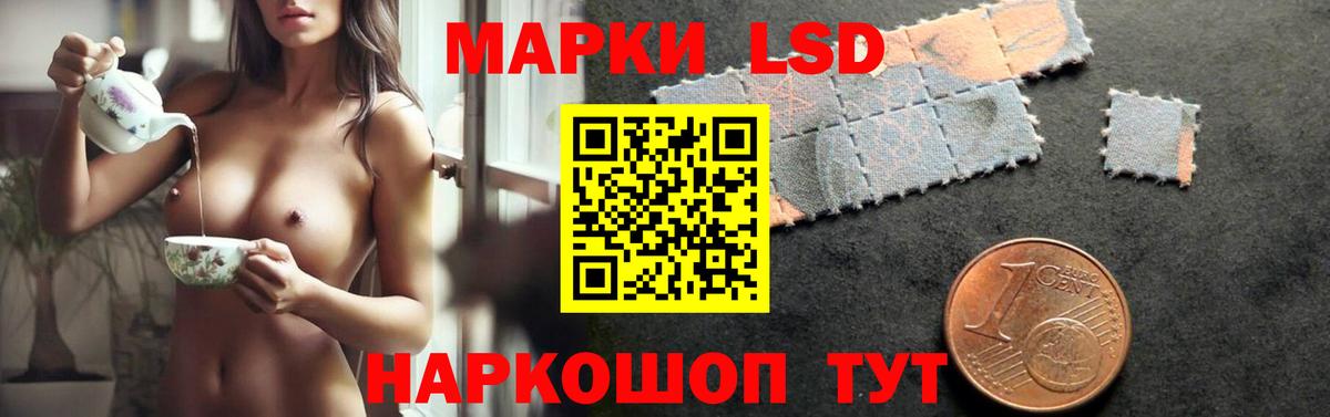 Конопля Мирный
